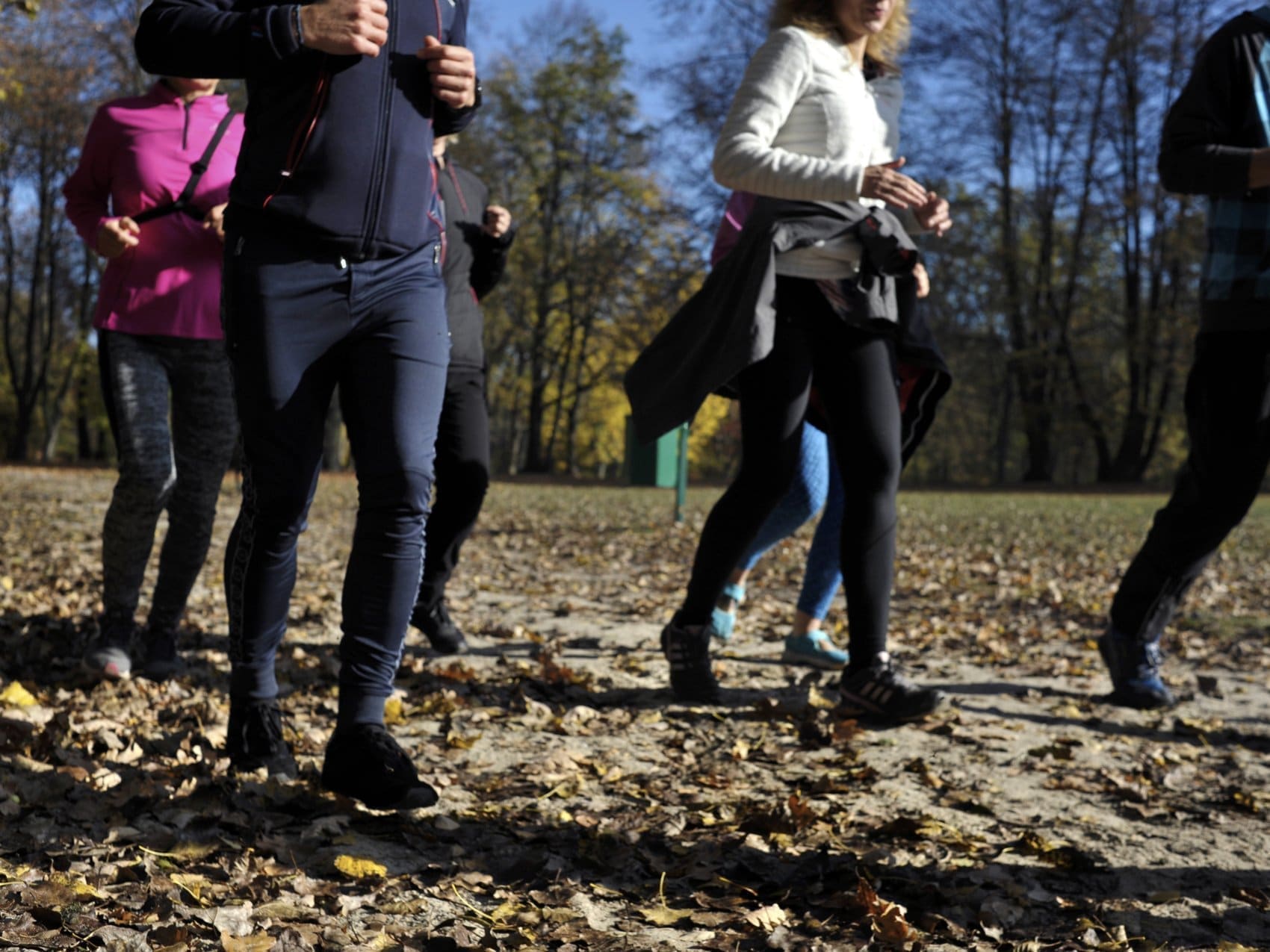 Jesienny park, spokojny trucht